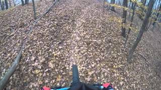 A the start of the trail heading counter clockwise.