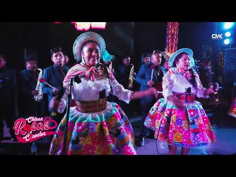 LAS CHICAS ROSAS Y CLAVELES - MIX DE SANTIAGO 2024