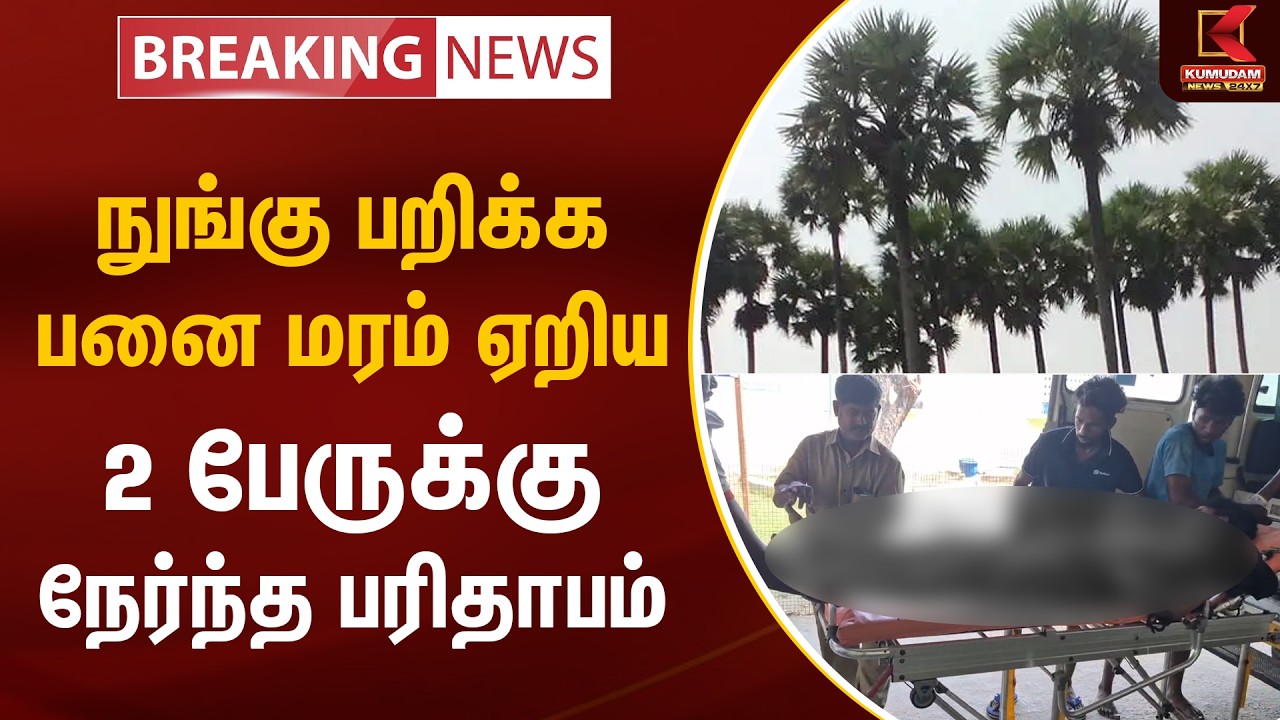 BREAKING : நுங்கு பறிக்க பனை மரம் ஏறிய 2 பேருக்கு நேர்ந்த பரிதாபம் | Kanchipuram | Kumudam News