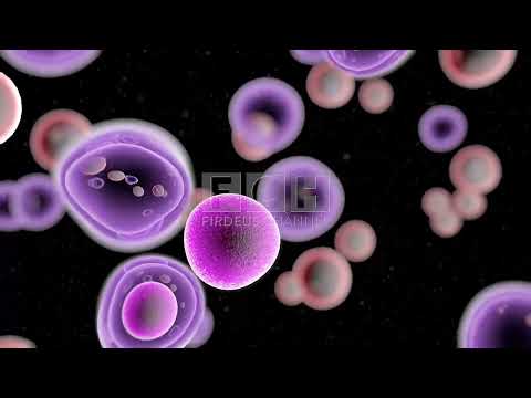 Pirja e Duhanit - Mbas kesaj video ke arsye te forte per ta lene duhanin!