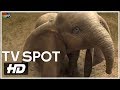 Dumbo TV Spot Generations 2019 HD Mixfinity International