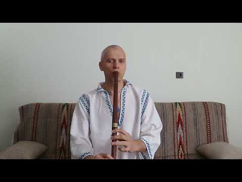 Doina de la Bârca (caval) - după Ctin Chisăr