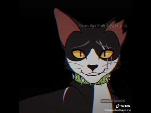 Smudge Is Evil! (Bloodclan)