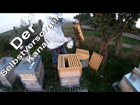 Hydromassage mit Arthrose des Gelenkes Eine Reihe von Übungen, Gelenke und Bänder zu stärken