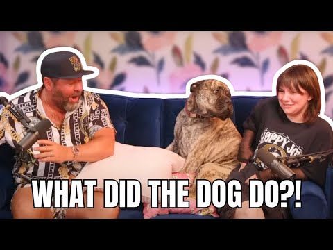 Watch Until the End!!!