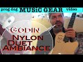 Godin Nylon Duet Ambiance Review Demo