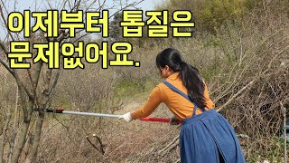 높은 나무도 쓱쓱 자르는 톱 활용 방법 톱질 방법