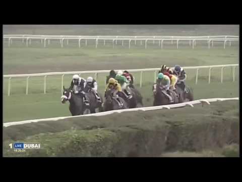 2016.11.06 Premio Carlo e Francesco Aloisi (ITA) - Kathy Dream