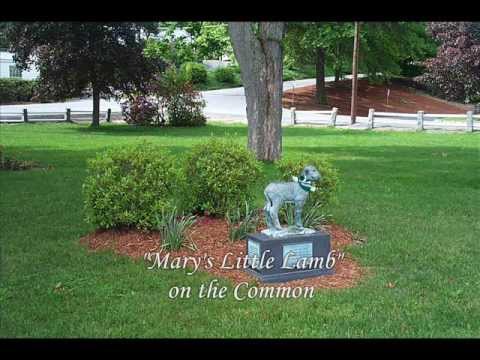 Living In Sterling, MA