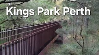 Tranquil Kingspark Perth at Dusk #tranquility #perth #kingspark #walking