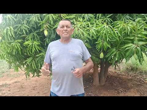 Padaria Brilho do Sol do nosso amigo Xaguinha em Santa Filomena Pernambuco. 