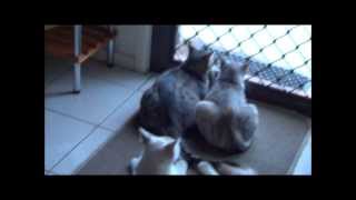 2013 Video Diary. DAY THREE HUNDRED AND FIFTY-NINE. 25th December, 2013