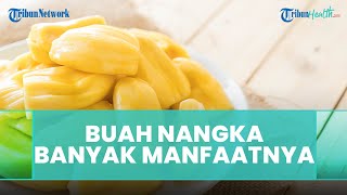 Mitos atau Fakta: Nangka Dipercaya Turunkan Kadar Kolesterol Jahat & Sehatkan Pencernaan, Benarkah?