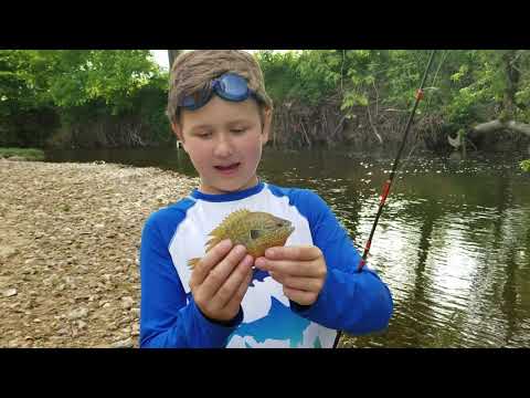 Missouri Creek Fishing on Thomas Tales