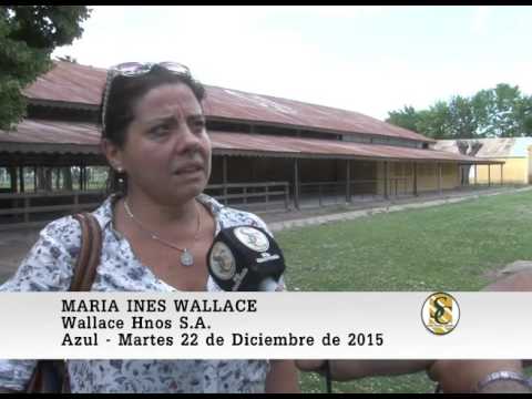 22-12-15 Nota Maria Ines Wallace  - Wallace Hnos S.A. - Azul.