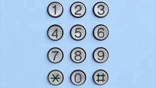 Solteiro Não Trai Lyrics English Translation