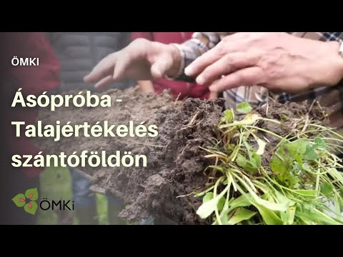 Pinworm tojás kezelésére