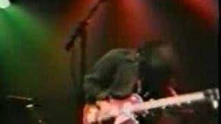 sonic youth - i wanna be your dog (stooges)