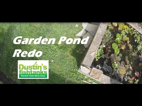 How to Update Garden Pond: Fixing up the old Garden Pond