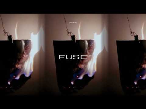 Sensu - Fuse