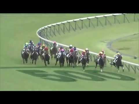 2020.05.31 Tokyo Yushun (Japanese Derby) - Contrail