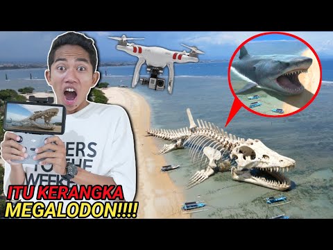 ARIK DRONE CAPTURES THE APPEARANCE OF A MEGALODON SHARK SKELETON THAT HAS BEEN ON THE BEACH FOR Y...