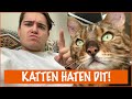 Doe dit niet bij jouw kat!  | DierenpraatTV
