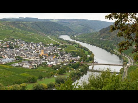Wandelen langs de Moezel - Moselsteig etappe 8 - Leiwen-Neumagen Dhron
