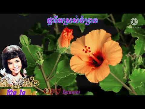 ផ្ការីកស្រស់បំព្រង ច្រៀងដោយ ប៉ែន រ៉ន