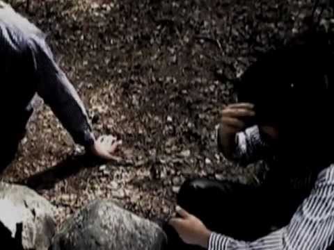 kort och gott- Bengt Magnusson