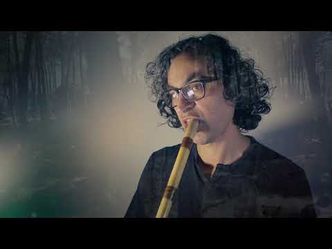 Persian classical music, Ney solo