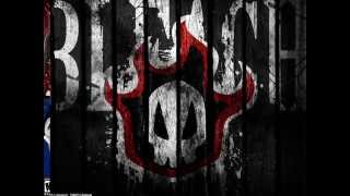 bleach -paralazer-finger eleven