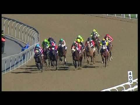 20190706 Greyville express clip Race 2 won by BASILIUS