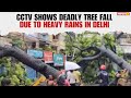 Incessant Rain Triggers Tree Fall in Delhi’s Kalkaji; NewsX Accesses CCTV Footage | NewsX