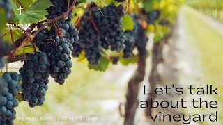 Let’s talk about the vineyard