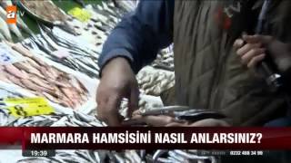 Marmara hamsisini nasıl anlarsınız? - atv Ana Haber