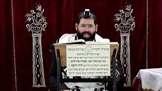 זבחים דף צ"ח ע"א ¤ הרב נתנאל אברז'ל ¤ בית הכנסת "בית מרדכי" (מוסדות תורת דוד) - התמונה מוצגת ישירות מתוך אתר האינטרנט יוטיוב. זכויות היוצרים בתמונה שייכות ליוצרה. קישור קרדיט למקור התוכן נמצא בתוך דף הסרטון