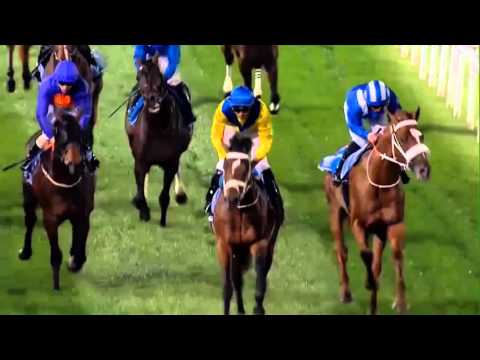 DWC PREVIEW BON AND CUMMINGS 2016