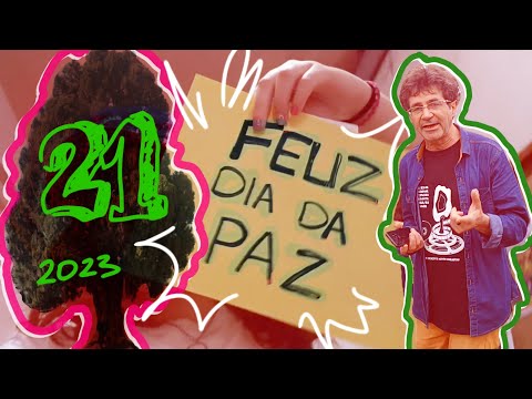 Dia da Paz