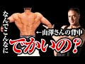 【筋トレ】山澤礼明さんの背中はなんであんなに大きいのかを山本義徳が徹底解説します