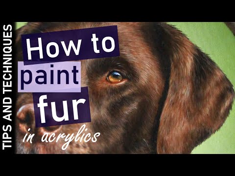 Tips for painting fur in acrylics | Chocolate Labrador painting