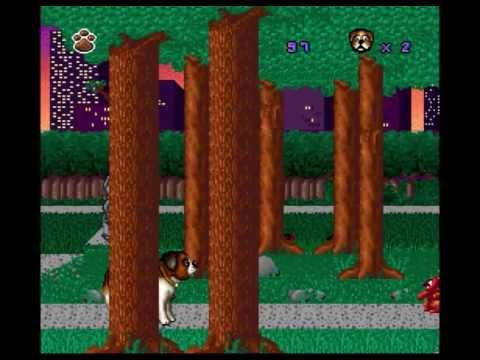 Beethoven's 2nd (D&A Play)