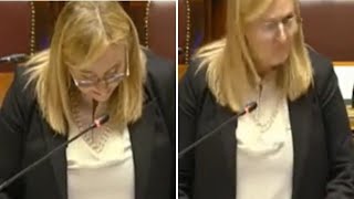 Malinteso tra Mulè e Albano al 92esimo ordine del giorno della Manovra: «Acqua? No, intendo 'beva...