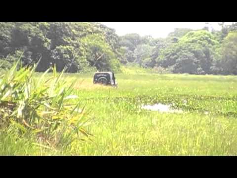 PANTANAL BRASIL - TRAVESSIA ALAGADO