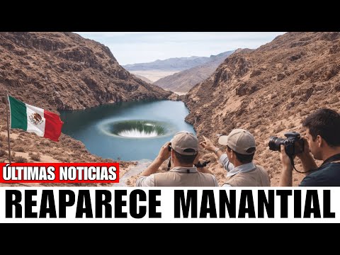 El oasis que reapareció en silencio en el desierto mexicano tras décadas seco