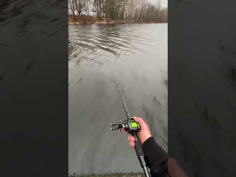 Baitcaster vibes 🤤 #angeln #fishing #baitcasting #german #shorts