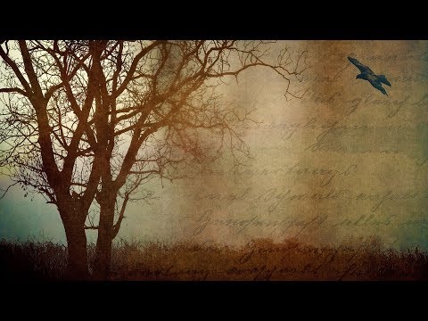 Em đi rồi Sheet - Diệu Hiền