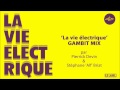 ALINE - La vie électrique / Gambit Mix (Pierrick ...