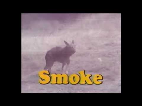 Duzoe x Laser - SMOKE (disney homevideo)