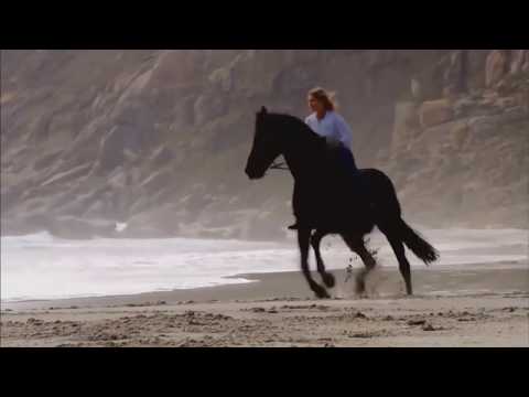 Quero Sempre Voltar - Paulo Ricardo | Luciano Junior